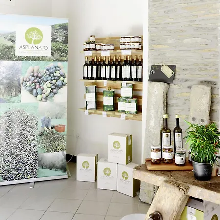 דירה Asplanato - Dol163 By Interhome Lecchiore