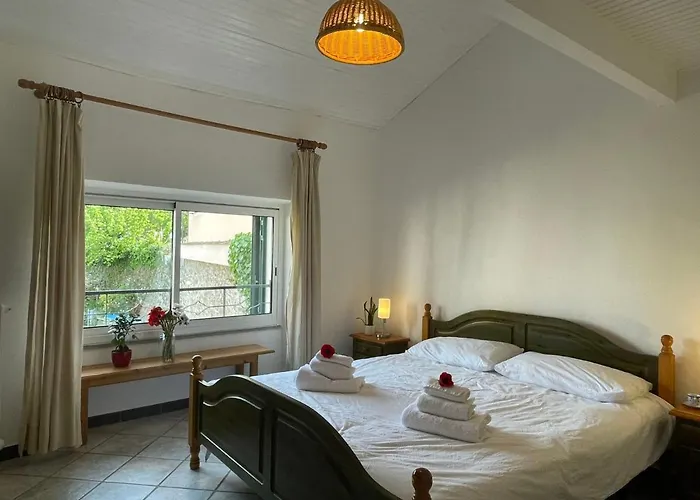 Appartement Asplanato - Dol163 By Interhome *